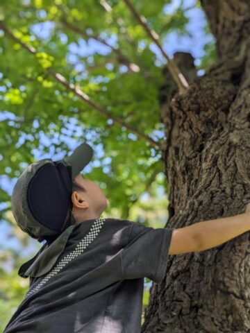 木登りする子供