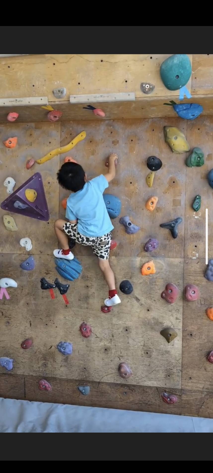 ボルダリングで壁を登る子供