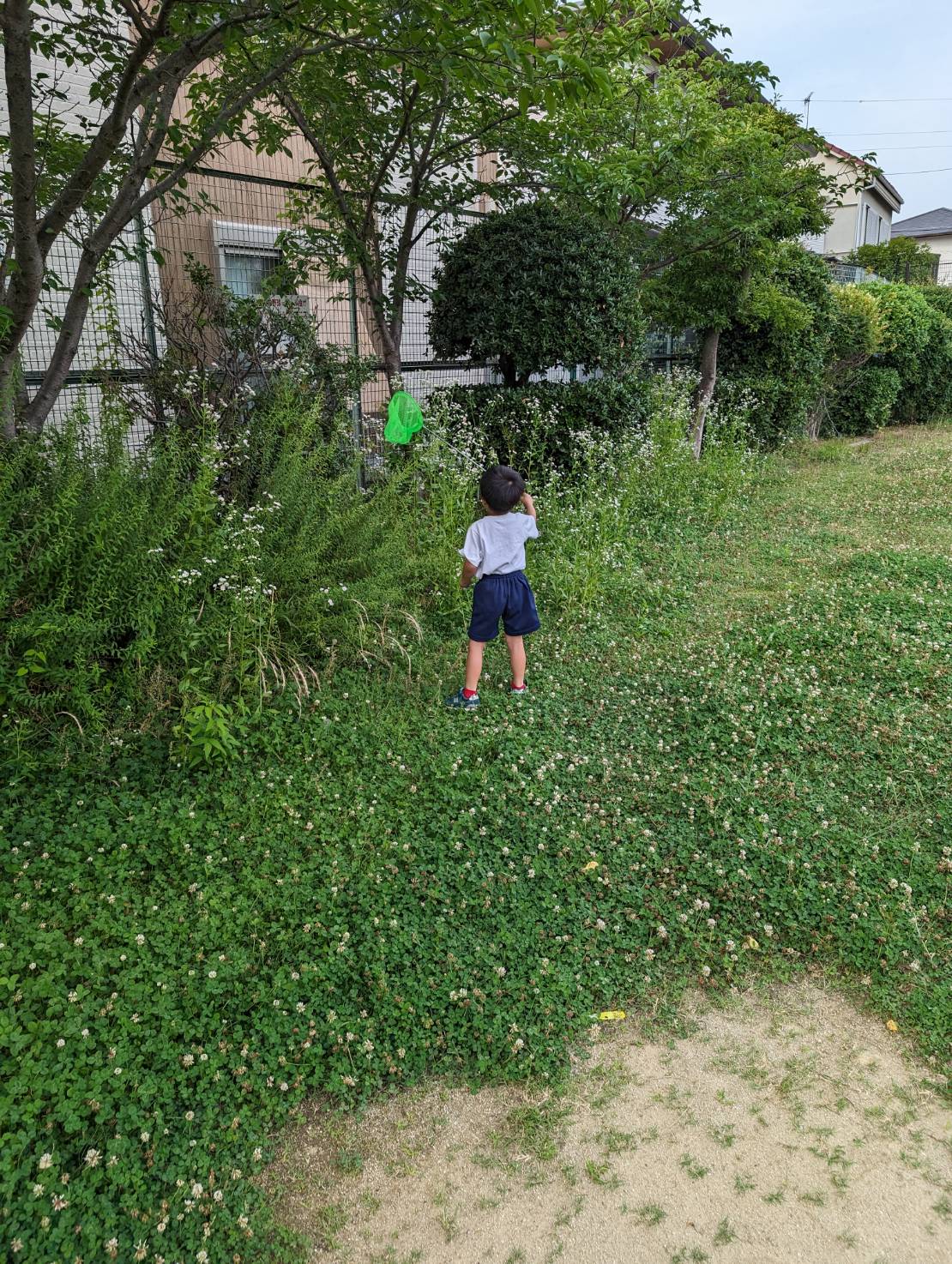 公園で虫取り網を持って走り回る子供