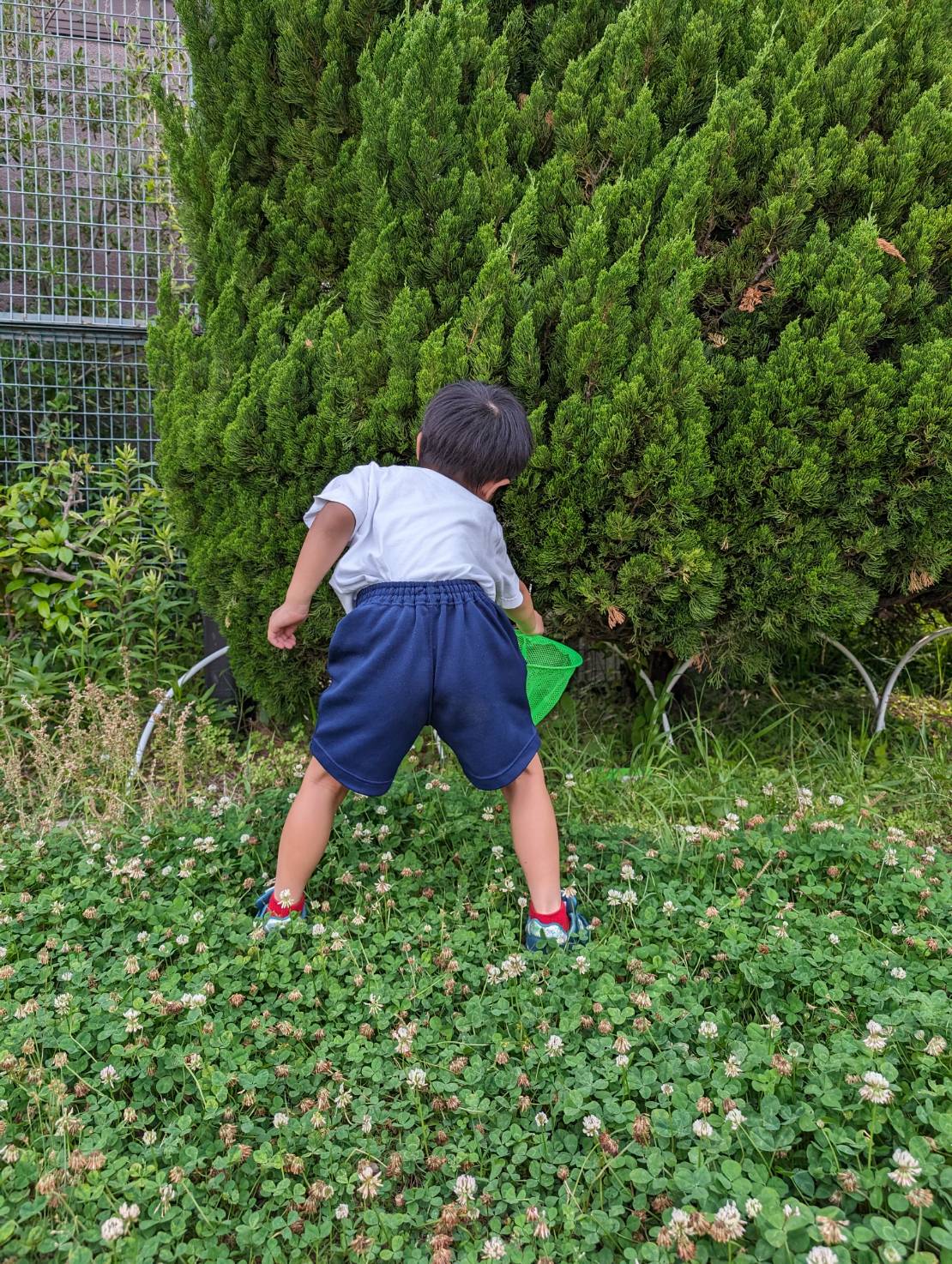 公園で虫取り網を持って走り回る子供