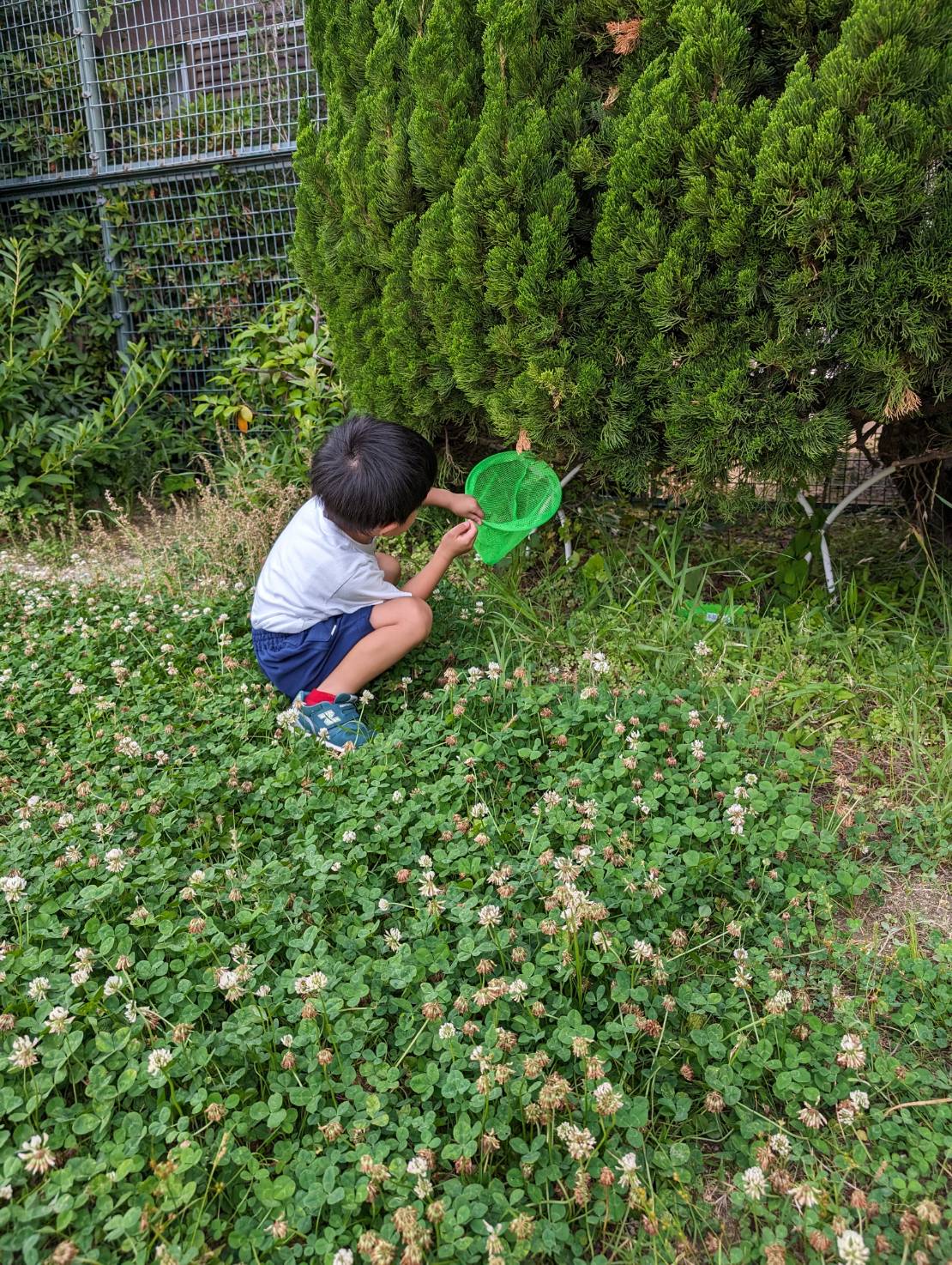 公園で虫取り網を持って走り回る子供