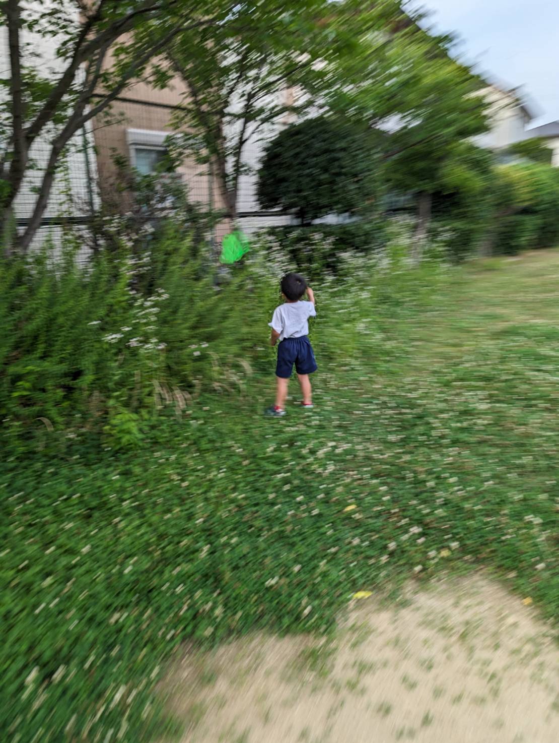 公園で虫取り網を持って走り回る子供